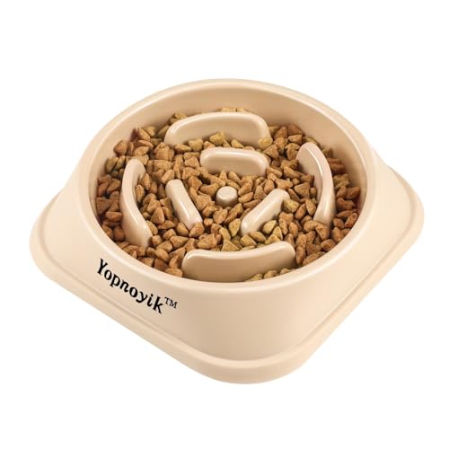 Slow Feeder Dog Bowls for Medium Dogs & Cats (Medium / Beige)