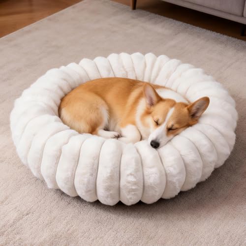 Donut Small Medium Dog Bed Washable Kitty & Puppy Bed (White / S(23*23*8))