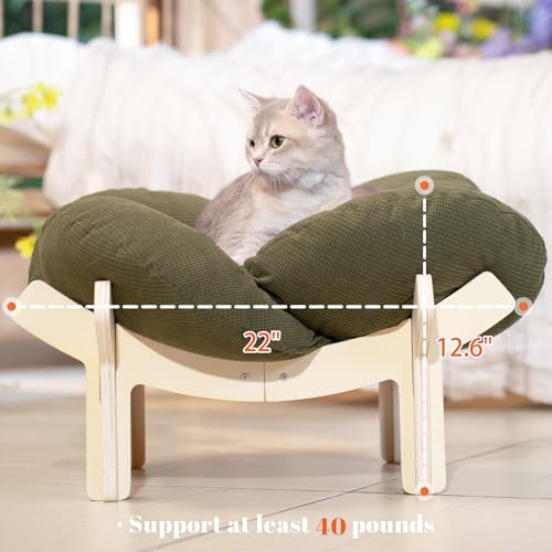 Elevated Cat Bed for Indoor Cats Couch Sofa Flower (Green)