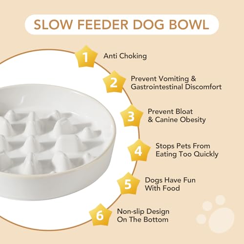 Ceramic Slow Feeder Dog Bowls (1 x White - C / L- 8.2inch / 1.6 Cups)