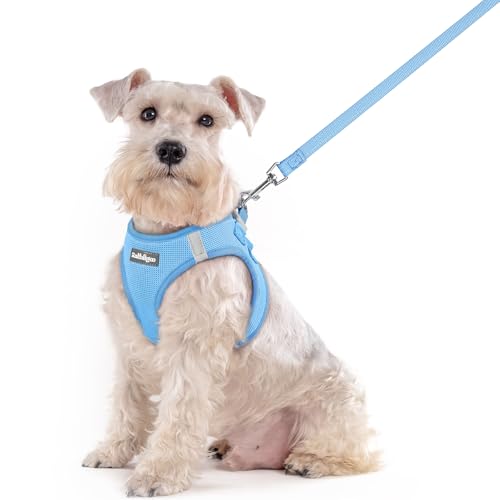 Dog Harness Medium Sized and Leash Set (Blue / Xxl (chest: 21.6 - 23.7"))