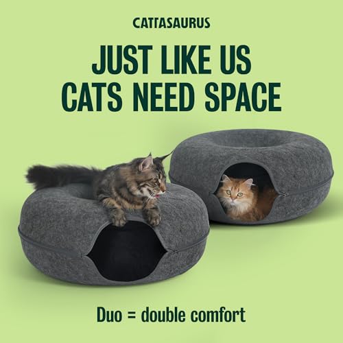 Peekaboo Cat Cave Duo Jumbo Set (Dark Gray + Dark Gray / Jumbo)