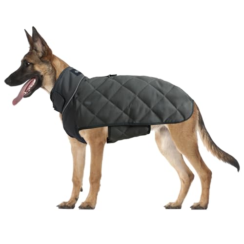Weighted Dog Vest (Grey / Small)