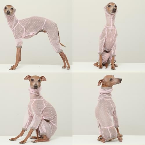 D Doggy Star Italian Greyhound Clothes Sheer Mesh Onesie Summer Jumpsuit Breathable Full Body Protection for Outdoor Walks Small Whippet Fit (3XL / Sheer Mesh Pink)