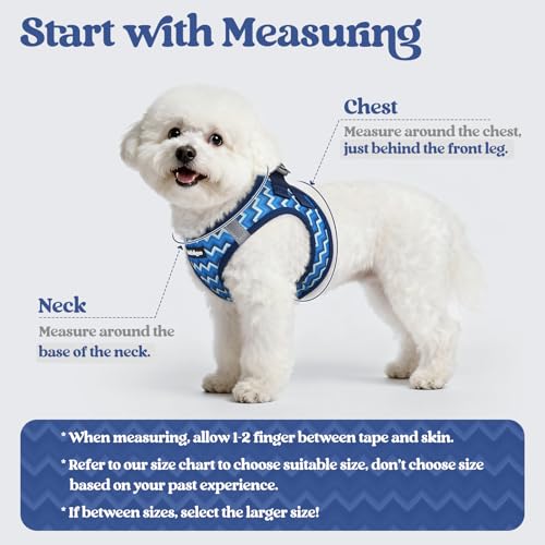 Dog Harness Medium Sized and Leash Set (Blue Zigzag / M (chest: 16 - 18.5"))