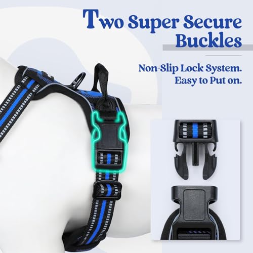 Dog Harness No Pull for Small Dogs with 2 Leash Clips (Small / Blue Plaid)