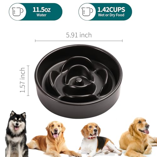 Black Ceramic Slow Feeder Dog Bowl for Small and Medium Breeds (6.1 In Black Slow Feeder Bowl / Black)