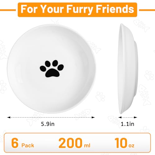 Ceramic Cat Bowls (basic dish，6 pack / fishbone+cat paw)