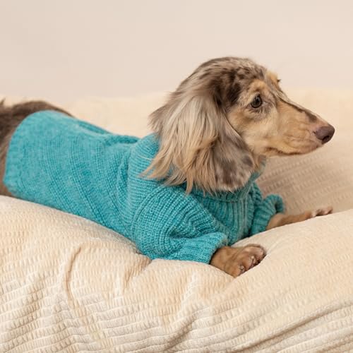 Medium Turtleneck Dog Knitted Sweater (Medium / Steel Blue)
