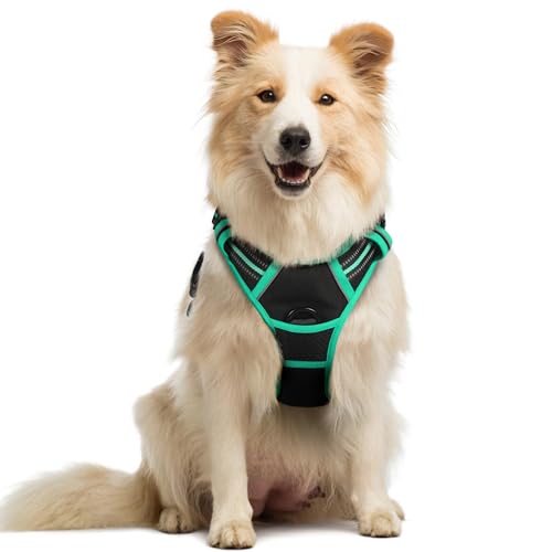 Dog Harness No Pull Medium Sized with 2 Leash Clips (Medium / Black & Turquoise)
