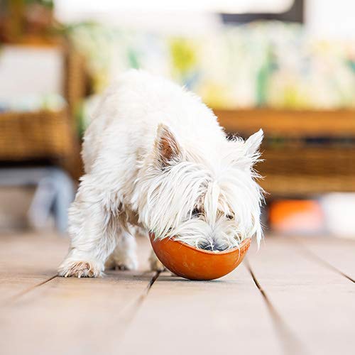 Wobble Dog Slow Feeder Bowl Lick Mat (Orange)