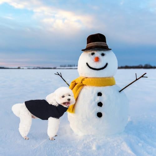 Turtleneck Dog Sweater (Small / Navy Blue)