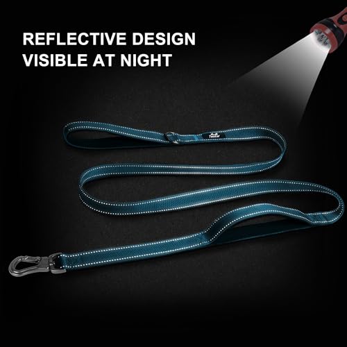 6FT 1IN Heavy Duty Dog Leash for Large Dogs with 2 Padded Handles (Blue / 1 in x 6 ft)