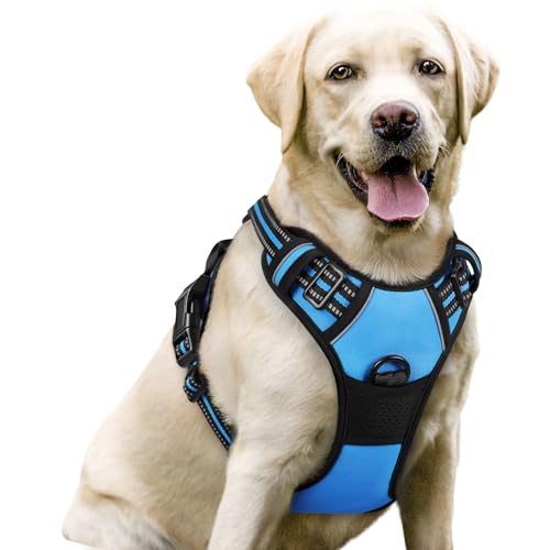 Dog Harness No Pull for Large Dogs with 2 Leash Clips (Large / Blue)
