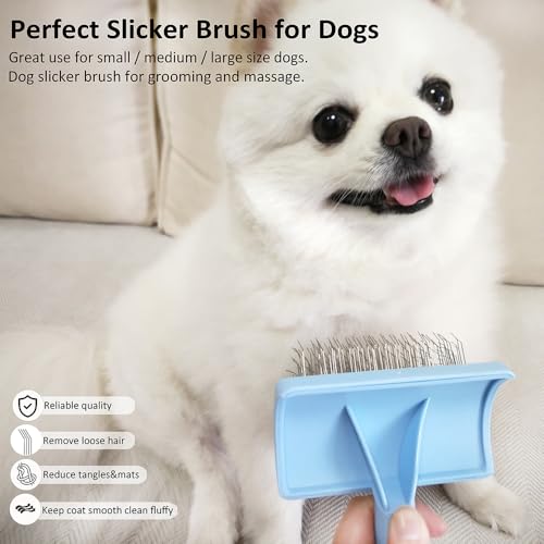 Slicker Brush for Poodles (blue)