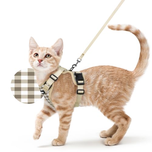 Cat Harness and Leash Set (S / Foamy Coffee)