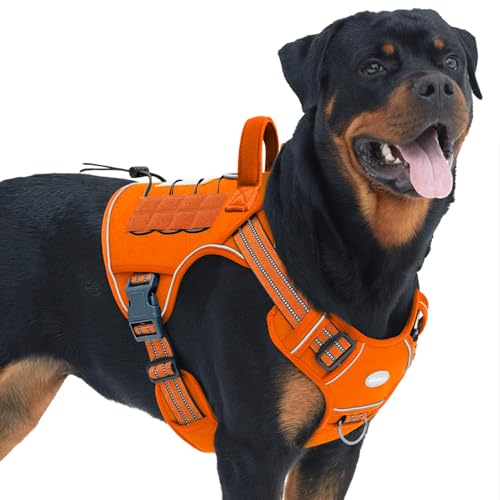 Dog Harness for Large Dogs (Orange / L(Neck:18-29",Chest:24-37"),45-80 lbs)