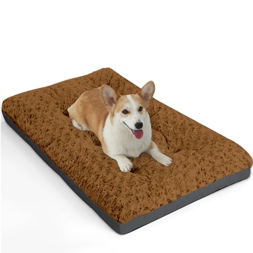 Dog Bed Medium Sized Dog (29.0"l X 19.0"w X 3.5"th / Brown)