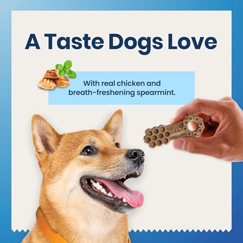 Chicken & Spearmint Small Dental Chews (22.6 Ounce (Pack of 1))
