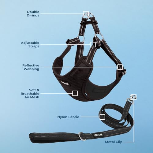 Voyager Adjustable Step (Harness Leash Set (Black) / XL)