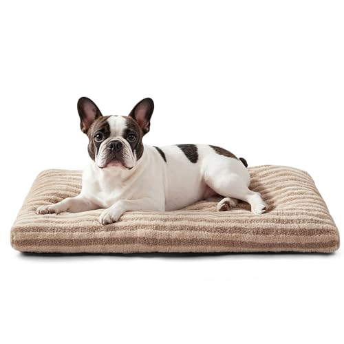 Washable Small Dog Bed (Brown / 23.0"l x 18.0"w x 3"th)