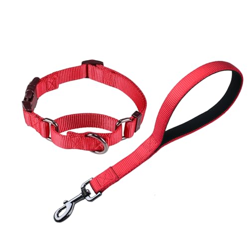 Nylon 12 Inches Dog Short Leash with Anti (12" Leash and Martingale Collar Combo / Chili Pepper)