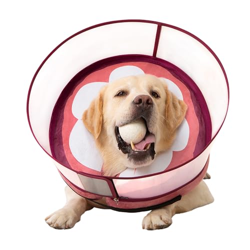Inflatable Dog Cone Collar for Large Medium Small Dogs (Mangosteen / Large)