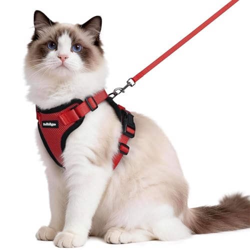 Cat Harness and Leash Set (M / Red)