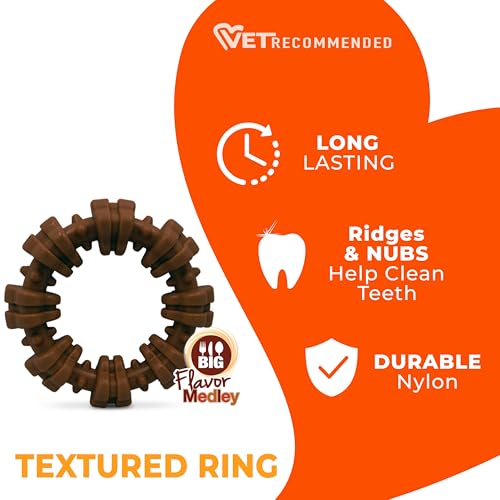 Textured Ring Power Chew Toy for Small Dogs Up to 25 lbs (Small / Textured Ring)