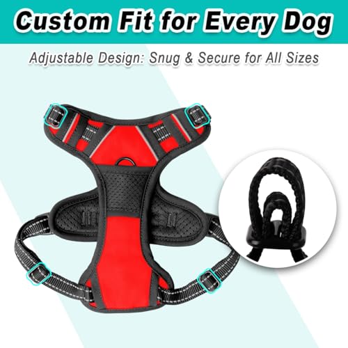 Dog Harness for Small Sized Dog No Pull 2 Leash Clips Dog Vest (X-Small / Red)