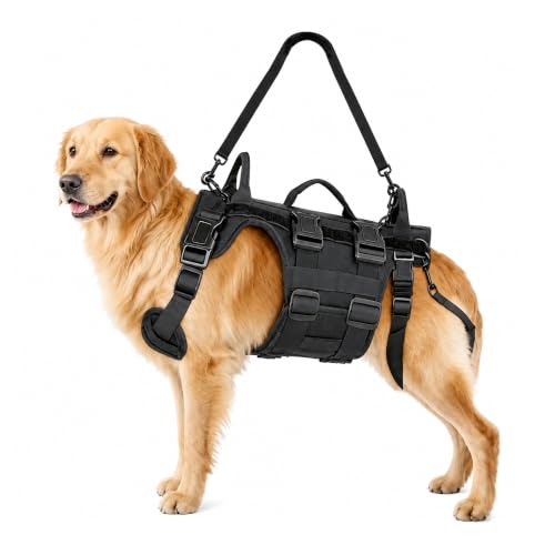 Dog Lift Harness for Rear Leg Support (Black / L)