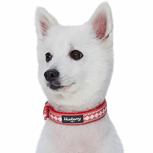 Reflective Jacquard Dog Collar with Neoprene Padding & Metal Buckle (Medium / Metal Buckle-Coral)