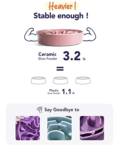 Ceramic Slow Feed Dog Bowls (Pink Bloom+Stand / M-1.5 Cups)
