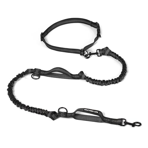 Hands Free Leash (Black / 7FT Hands Free)