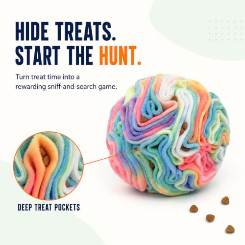 Snuffle Ball for Dogs (Chromatic)