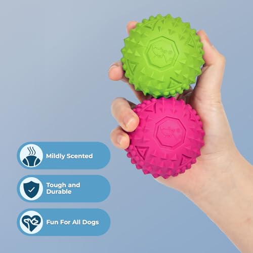 Squeaky Dog Toys with Soft Durable Fabric for Small (Fuchsia, Green / Medium)