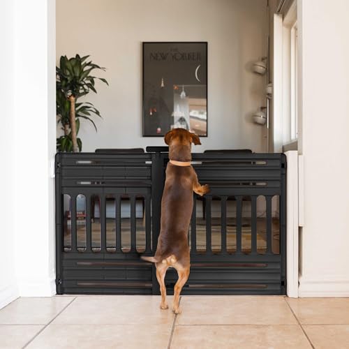 Pet Gate Adjustable Width (Black / 1 Pack)