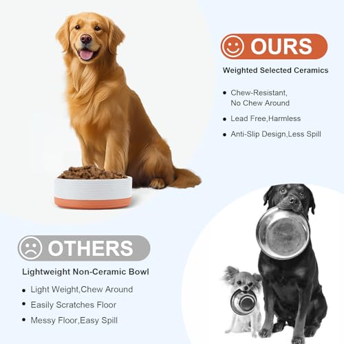 Ceramic Dog Bowls 2 Pack (8.3 in - 7.6 cups / Pattern White - Only Bowls*2)