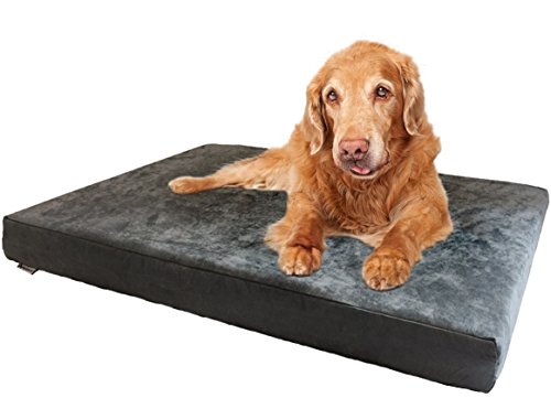 XXL Orthopedic Gel Infused Cooling Memory Foam Dog Bed for Large Pet (XXL 55" Length X 37" Width / Microsuede in Gray)