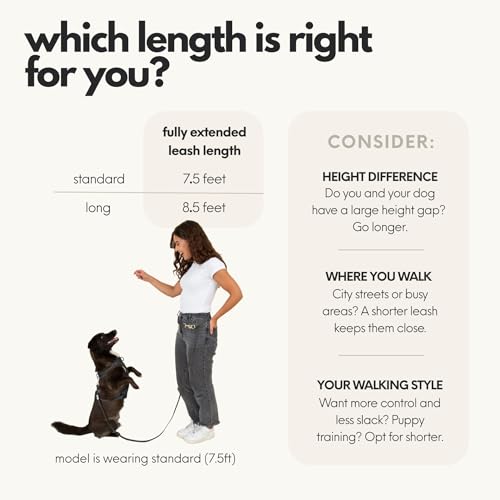 Hands Free Dog Leash with Treat Pouch (Black / 7.5ft)