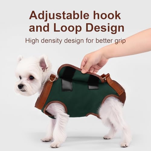Dog Lift Harness Dog Carrier Sling for Small Dogs & Cats (Small(4-8 LBS) / 1.0 Green)