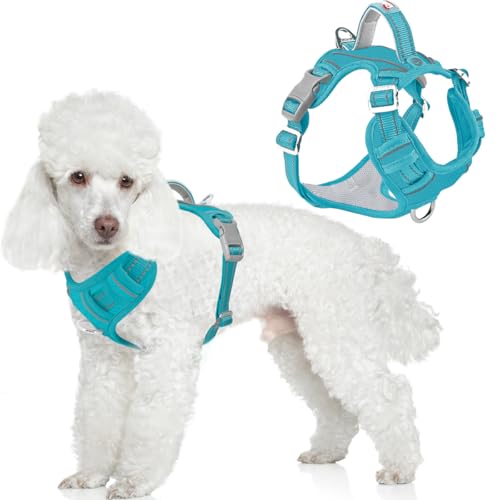 No Pull Dog Harness for Small Sized Dogs (Small(Chest:19.5-26”) / Aqua-Oxford)
