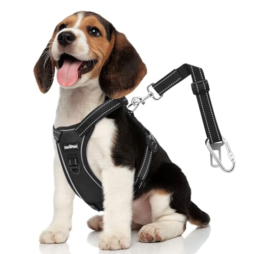 Dog Seat Belt Vest Harness for Car (Carbon-Black / M (Chest: 19.7-26.4", Neck: 12.6-20.5"))