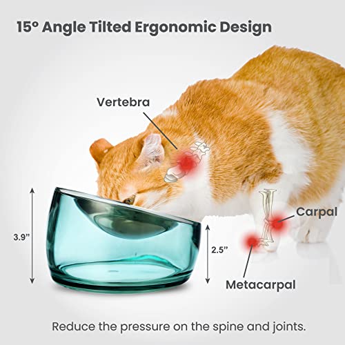 Oblik Elevated Cat Bowl Removable Stainless Steel Wide Dish for Dry Wet Food Feeding & Dishwasher Clean (Classic / 0.5 Cups Shallow Dish)