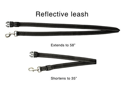 Hands Free Dog Leash - PetSolution