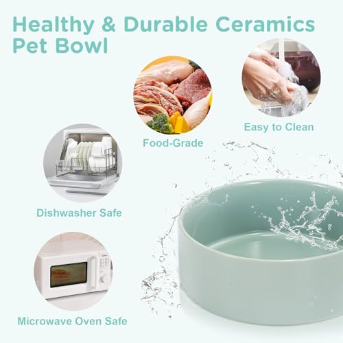 Elevated Dog Bowls Ceramic (8.3 in - 7.6 cups / Light Green)