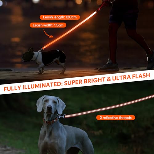 LED Dog Leash (Orange)
