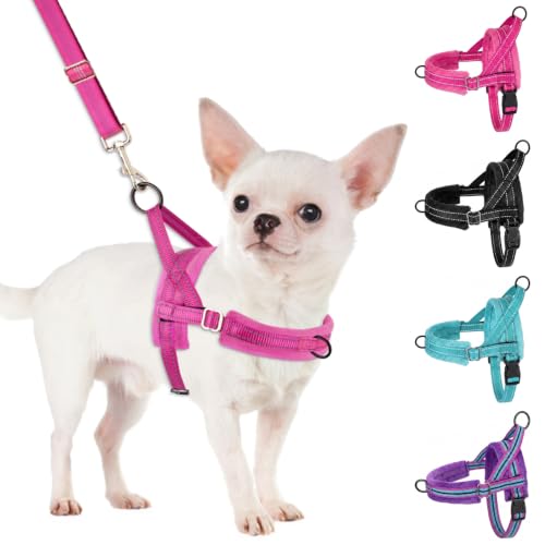 No Pull Small Dog Harness and Leash Set with Front Clip (XX-Small / Fuchsia)