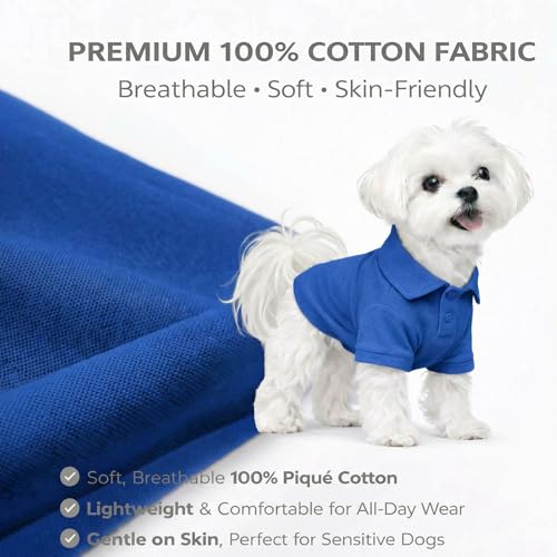 Basic Dog Polo Shirts Premium Cotton (XL (-35lbs) / Blue)