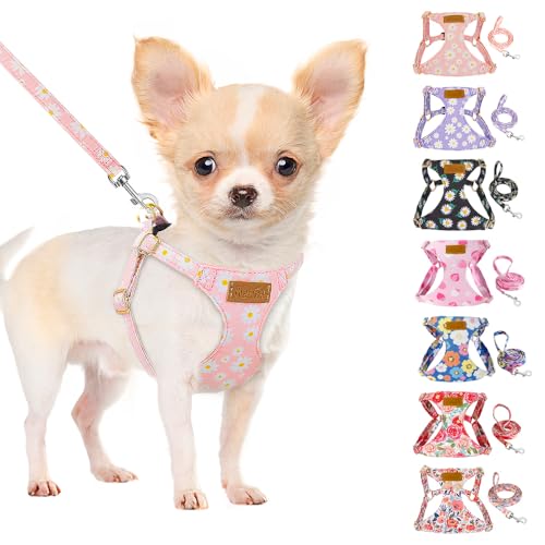 No Pull Dog Harness with Leash for Small Medium Dogs (X-Small(6-11lb) / Pink Daisy)